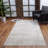 2' X 3' Area Rug-1998957272
