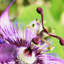 Print on Canvas-25528869