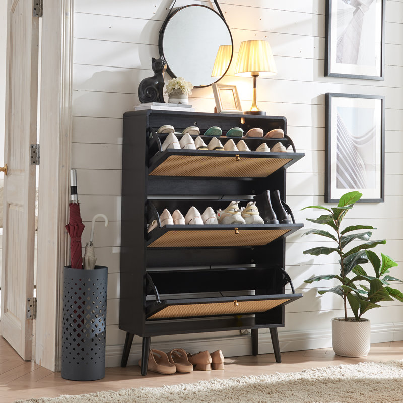 Armoire de rangement pour chaussures 24 paires, Noir