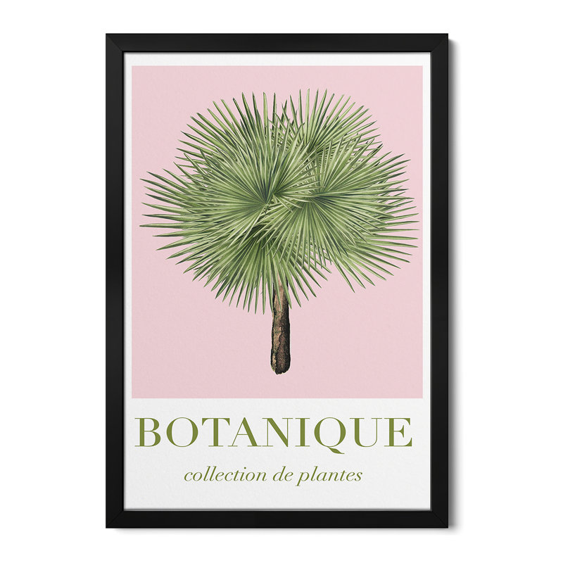 Botanical Collection Premium Framed Posters, 32" H x 24" W