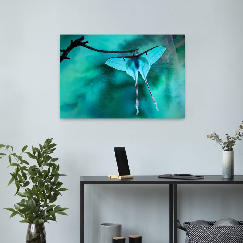 Green Luna Moth Delicate Ethereal Serene Moth Nature Tropical Wall Art Print 1 Piece Wrapped Canvas Wall Art