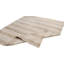 Terriek Striped Area Rug in Ivory