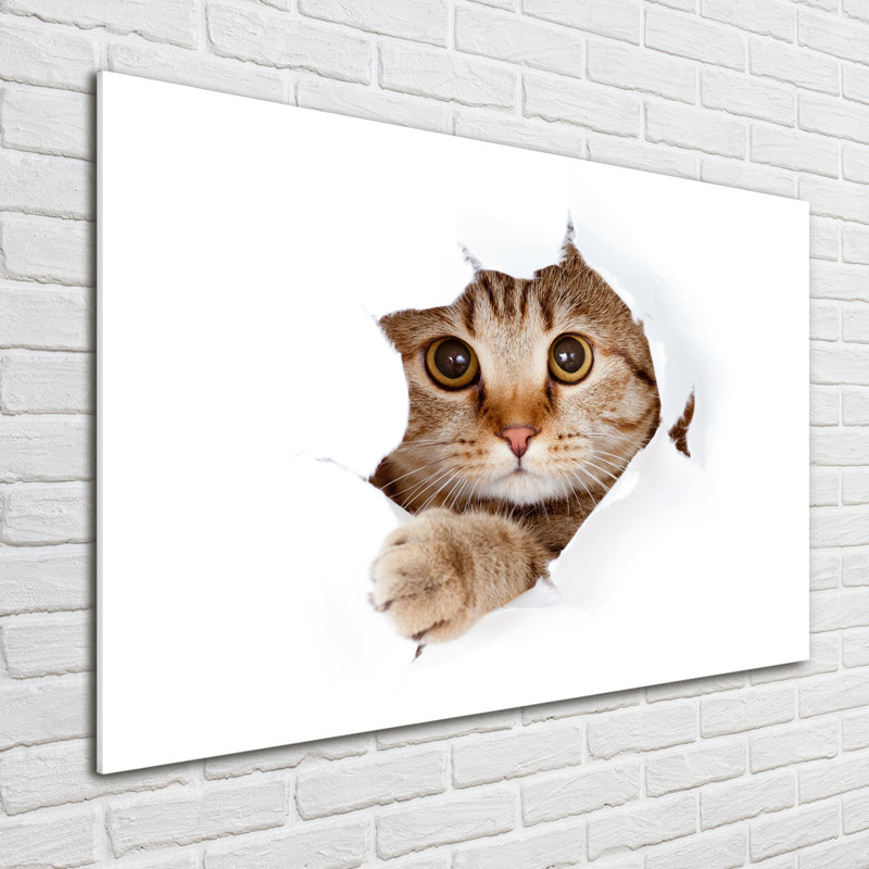 Cat - No Frame Print on Glass
