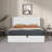 Daizia Lift Up Storage Platform Bed with Wingback Headboard-845478320-837495295