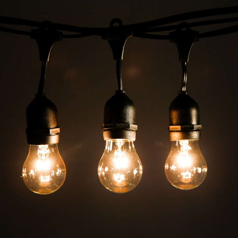 Outdoor 50 - Bulb 100'' Plug-in String Light