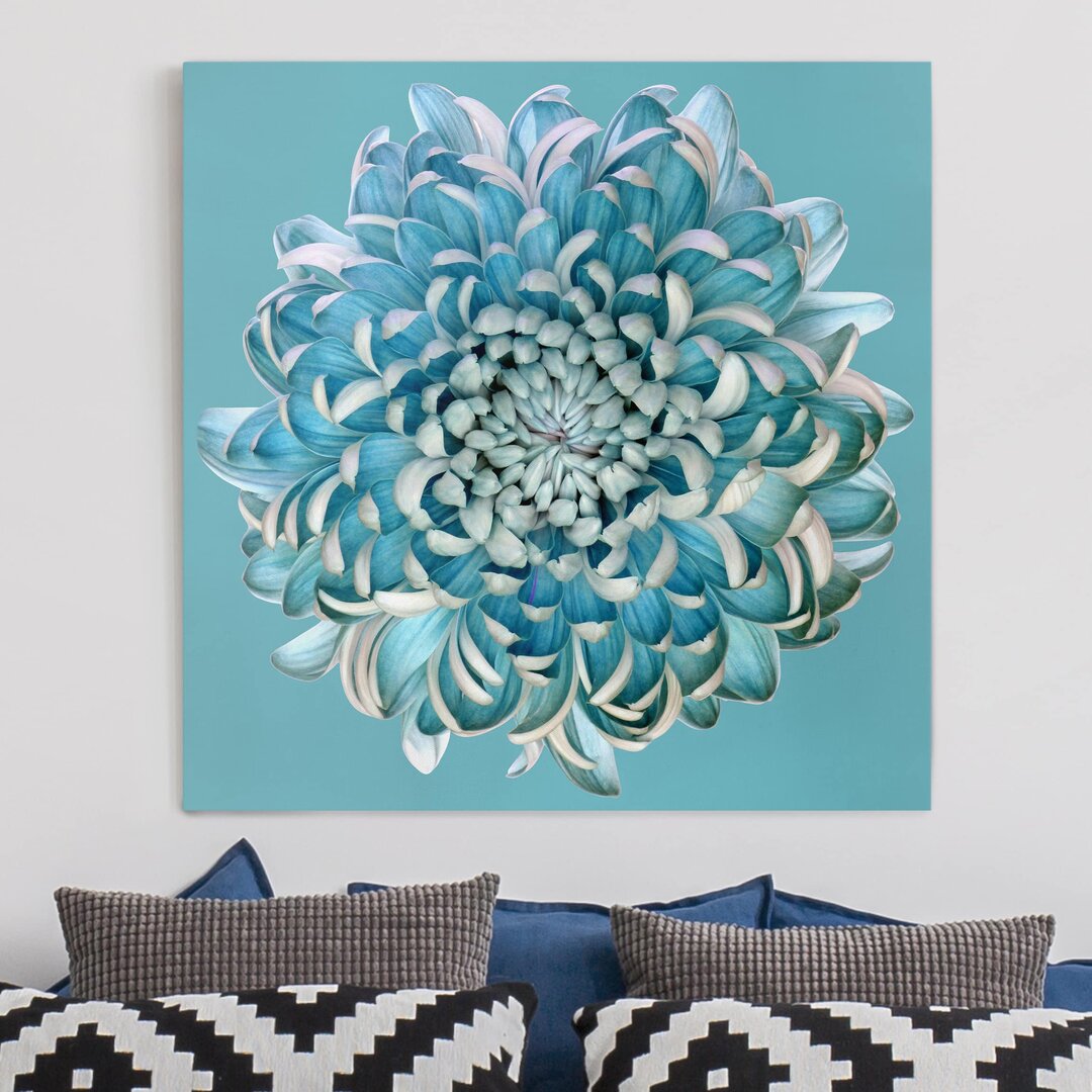 Leinwandbild Blaue Chrysantheme