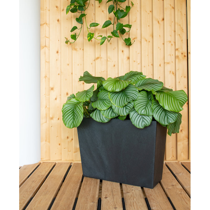 Kroeker Planter Box, Steel Grey