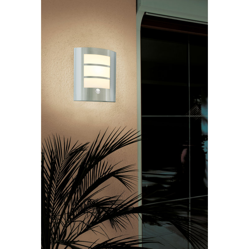 Oldany Stainless Steel 26cm H Outdoor Flush Mount, Yes