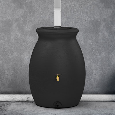August Grove® 50 Plastic Dual Overflow Rain Barrel