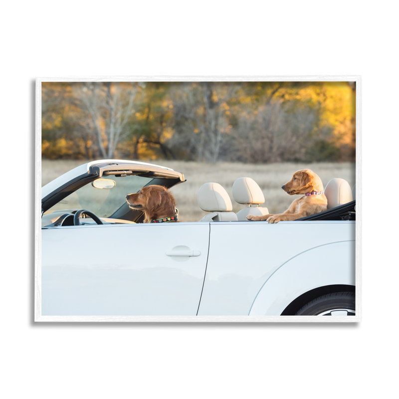 «Ba-359» par Karen Hoglund, H 11 po x l 14 po x P 1,5 po, Giclée encadrée blanc bord de mer