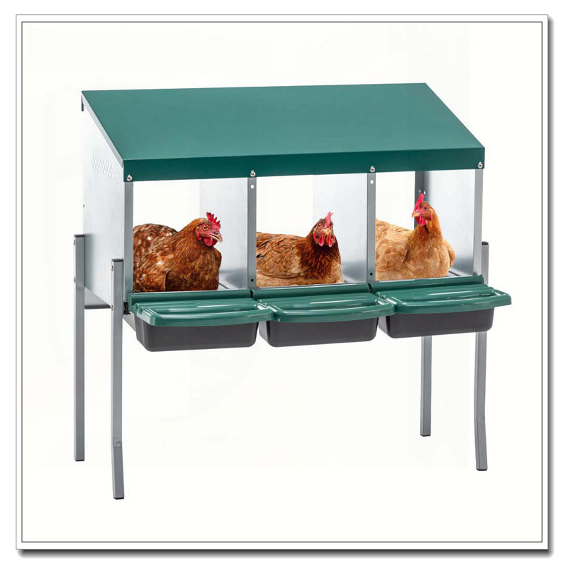 Boîtes de nidification pour poulets, boîtes de nidification de poulet à 3 trous avec pattes, boîte de ponte avec couvercle, pour la cour extérieure de poulailler, vert