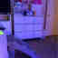 Photos des clients 1 de 1