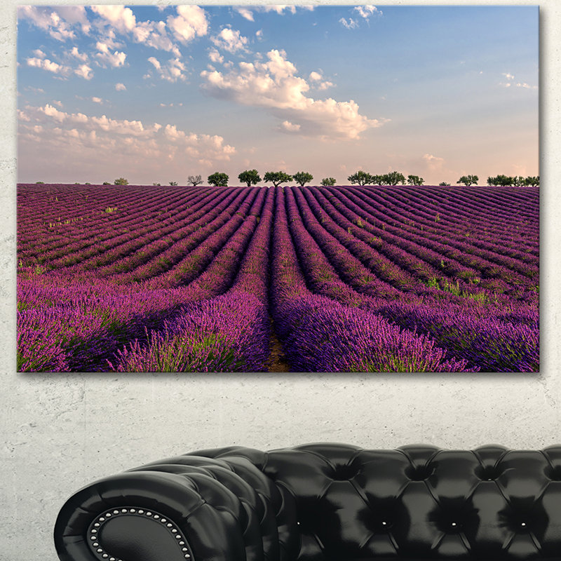 Champ de lavande brillant en Provence - reproduction de photo sur toile tendue, H 16 po x l 32 po