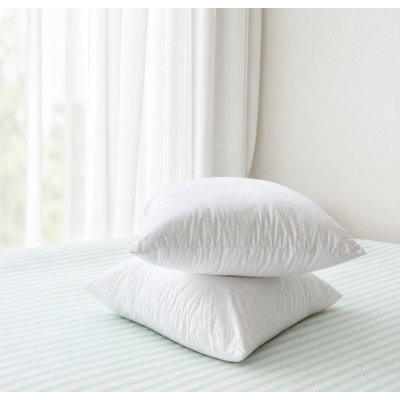100% Cotton Shell Pillow Insert with Zipper, Silk Fiber Fill - 20"x20"