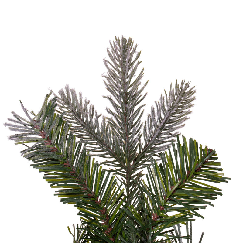 Collection de sapin Douglas artificiel givré, H 24 po x l 24 po x P 3 po