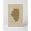Illinois State Silhouette - Portrait, art mural sur toile-752188683
