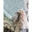 Tapis oriental turquoise Sascha-866265958