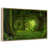 Floating Frame Natural Wood