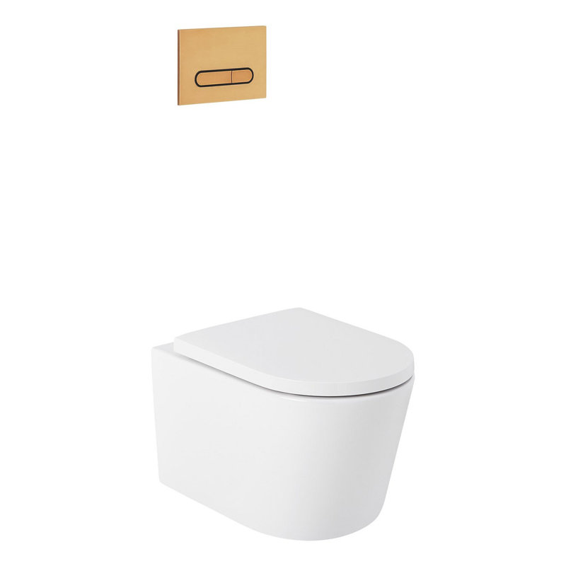 Arnelle Dual Flush Wall Mounted One Piece Elongated Chair Height Toilet with Actuator Plate Flush, Brushed Gold