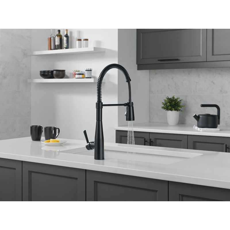 Robinet de cuisine professionnel avec douchette extractible Essa Pro Style, Noir mat