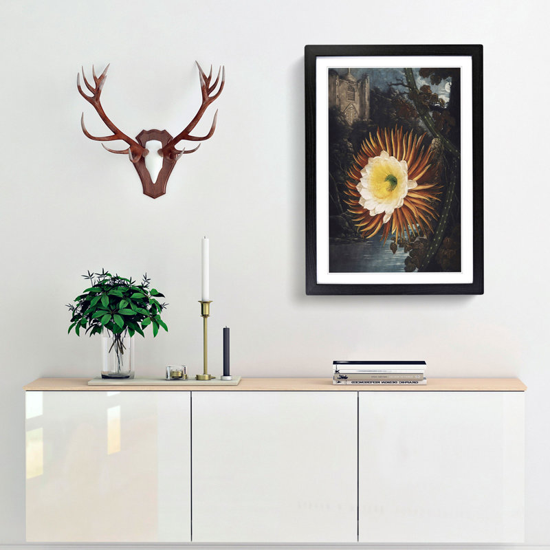 Blooming Cacti by R.J. Thornton - Picture Frame Painting Print, 36cm H x 27cm W x 2cm D, Black Framed