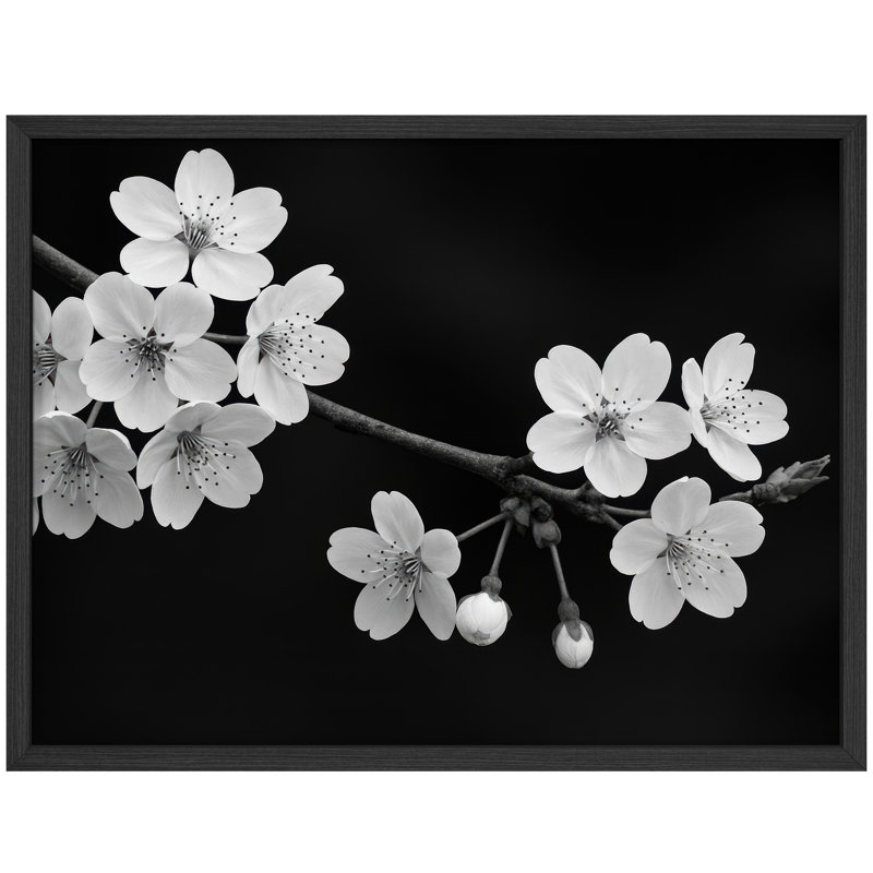 Reproduction florale encadrée pour décoration florale - 8 po x 10 po, H 8 po x l 10 po, Noir