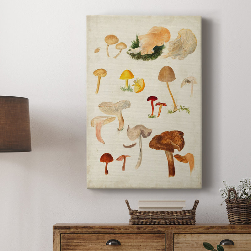 Mushroom Species douzième - galerie Cavas sur mesure, H 27 po x l 18 po