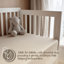 Cotton 2 - Piece Cot Fitted Sheet-1391796083-1391662123