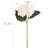 Hydrangea Stem-1158631101