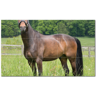 Horse Photo 12'' x 12'' Satin Ceramic Decorative Mural -  Picture-Tiles.com, PT500750-53XL