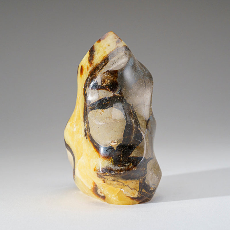 Septarian Crystal