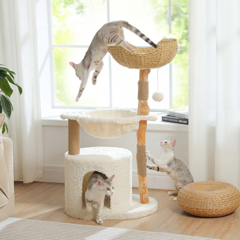 Arbre à chat moderne avec poteau à griffer en bois massif naturel, panier en osier spacieux, grand hamac, condo de luxe pour chats d'intérieur