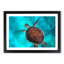 A Sea Turtle in Abstract - Framed Print-55629321-55629320