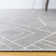 Pleione Geometric Flatweave Area Rug