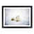Black Framed selected