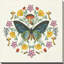 « papillon mandala iv », impression-25391204-25391213