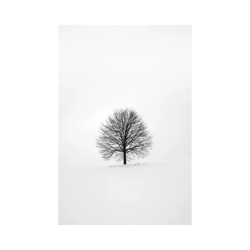 Solitary I by Design Fabrikken - Wrapped Canvas Print, 20.32 cm H x 30.48 cm W