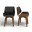 49.53cm H Upholstered Side Chair in Brown