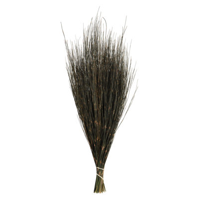 15'' Grass