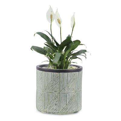 Round Green & Black Grid Pattern Handmade Pot Planter