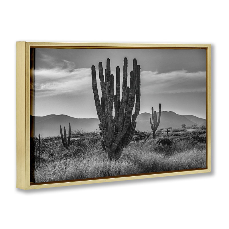Cactus coucher de soleil dans un cadre flottant monochrome, design par Norm Stelfox, Cadre flottant métallique doré