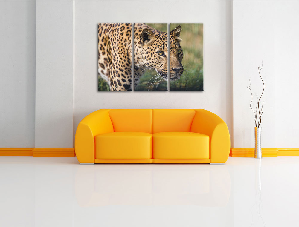 3-tlg. Leinwandbilder-Set Schlafer Leopard, Fotodruck