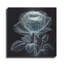  «Rose X Ray» par Rey Klimt, art mural en métal-405449826