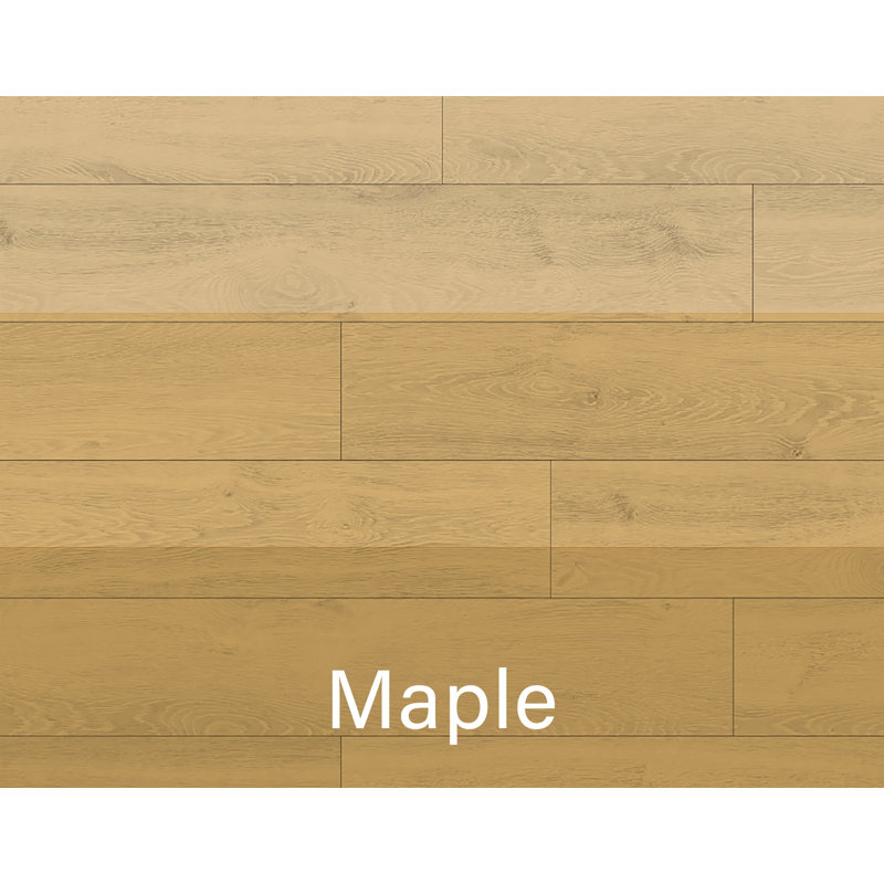 Bois et stratifié, Érable