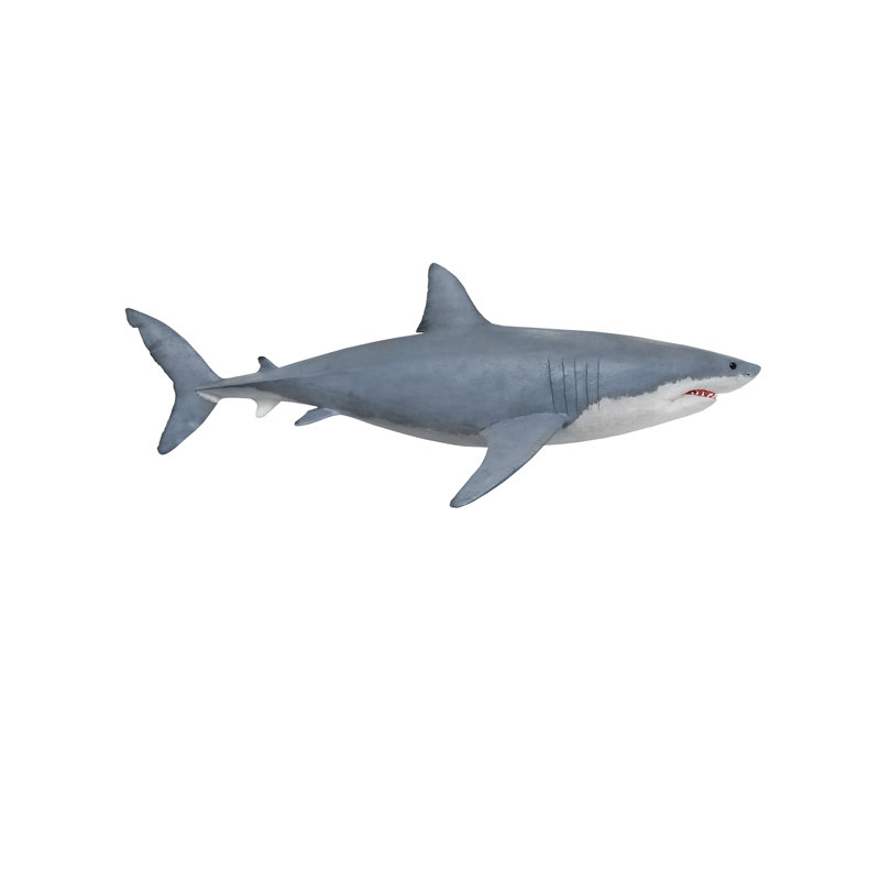 Adhésif décoratif grand requin blanc, H 72 po x l 28 po