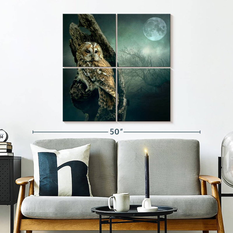 Brampt Owl At Night