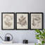 Antique sépia botanicals iv - ensemble de 3 peintures sur toile encadrées-1332138346-1332138351