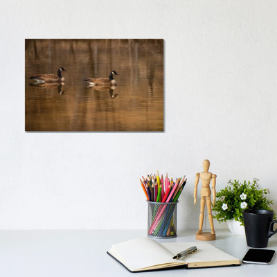Mirror Image by Louis Ruth - Wrapped Canvas Print
