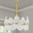 1 - Light Dimmable Single Pendant With 5 Glass Petal Shade-1396543669