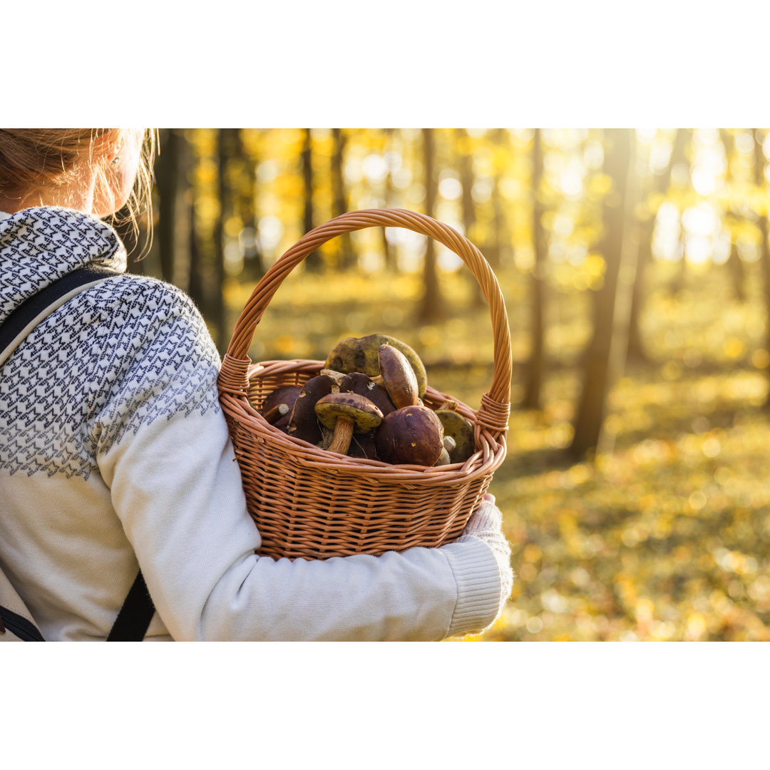 Leinwandbild Frau mit Pilzen im Weidenkorb im Herbstwald